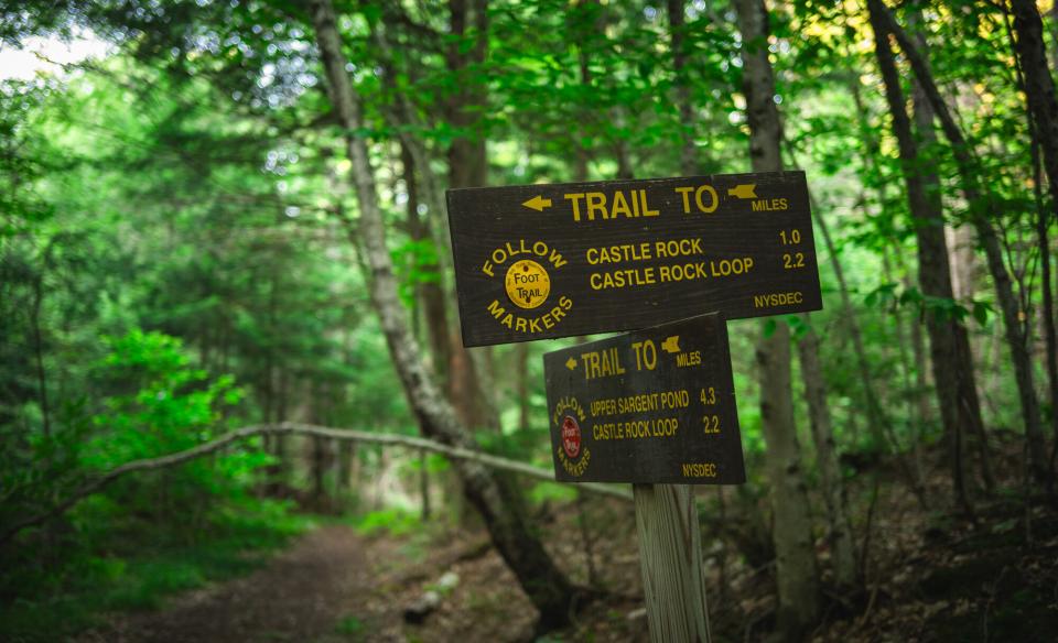 Trail signs on a tree