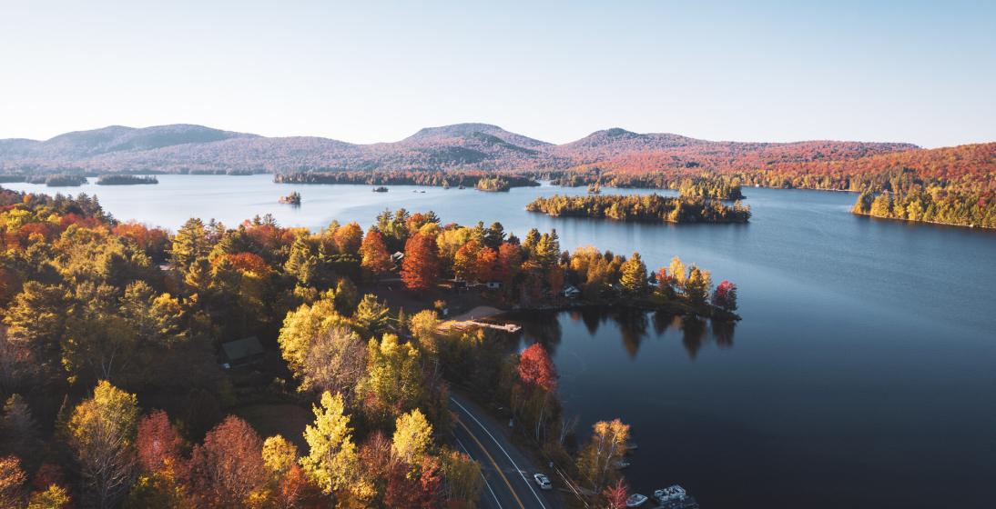 A lake surrounded by foliage and a road alongside it. 
