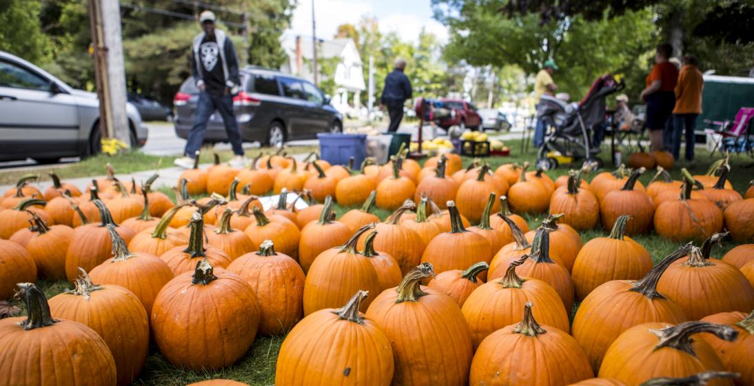 Dozens of pumpkins sit on the ground at a fall festival.