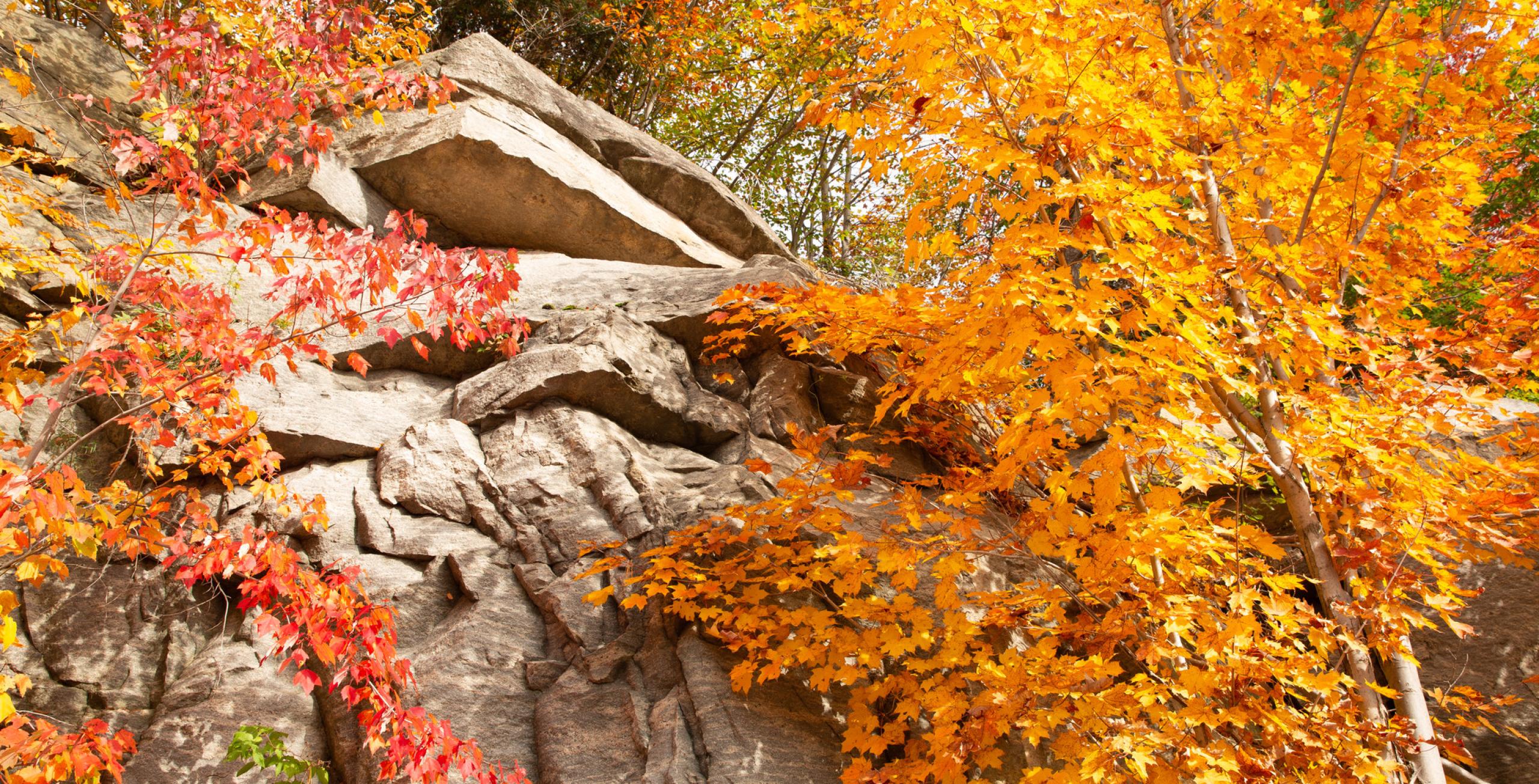 Wild ADK: 7 Best Roadside Fall Foliage Views | Experience Our