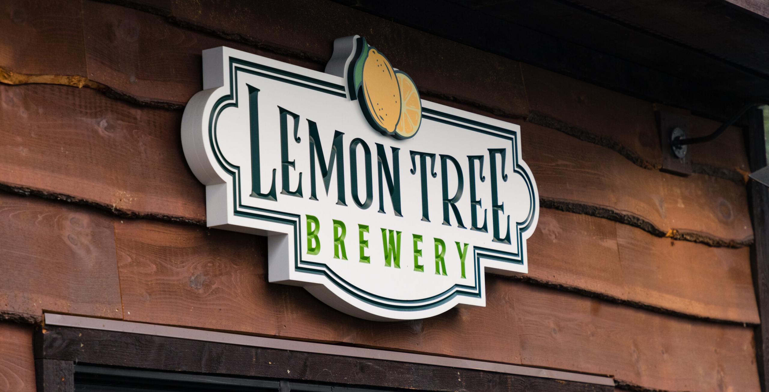 The Lemon Tree | Experience Our Adirondacks