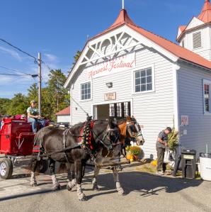 horse drawn carriage