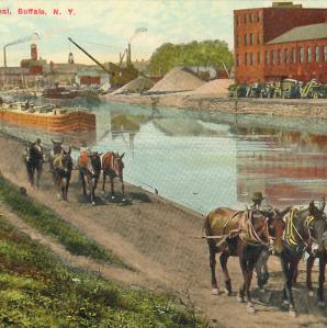 an old post card of the erie canal with donkeys pulling a barge.