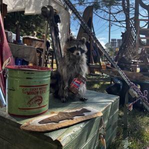 a variety of antiques displayed