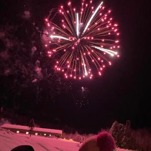 a bright pink firework bursting in the sky