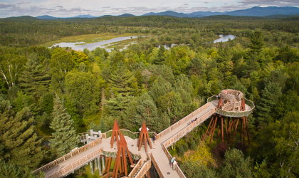 Aerial view of the portion of The Wild Walk