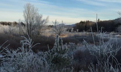 Beatiful winter scenery on the way to Round Pond.