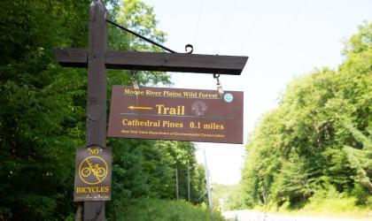 A sign for Cathedral Pines