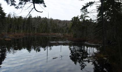 There's a leanto that is great for relaxing after the short