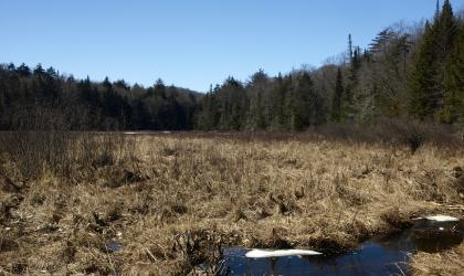 A great introduction to the famous Northville-Placid Trail.