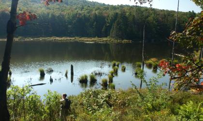 A small pond and a person standing next to it
