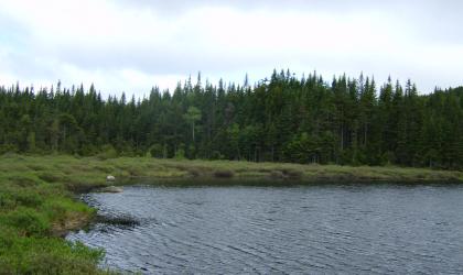 This pond is a backcountry hike destination.