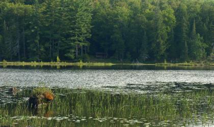 Good eating with brook trout and panfish at Utowana Lake.