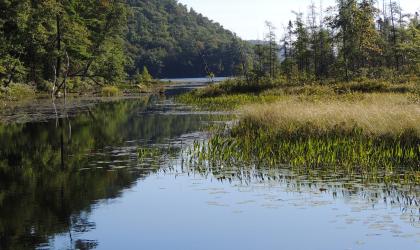 Large mouth and small mouth bass are plentiful in Oxbow Lake.