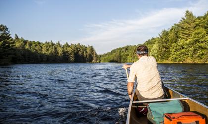 Hitchins Pond is a lovely destination for a morning or a weekend.