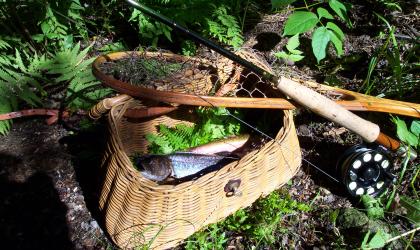This remote Adirondack wilderness area is full of native fish.
