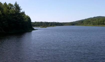 Part of the Moose River Plains Wild Forest.