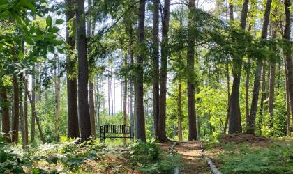 A nice trail at Hope Center Trails.