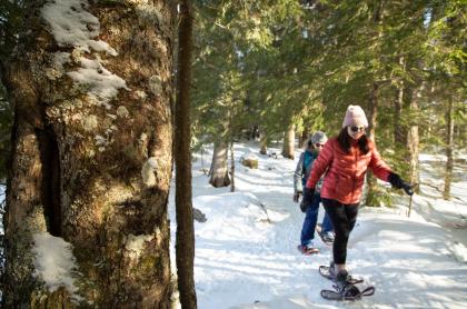 Two people out on a sunny winter day snowshoeing