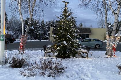 Indian lake Christmas tree outside with lights on it