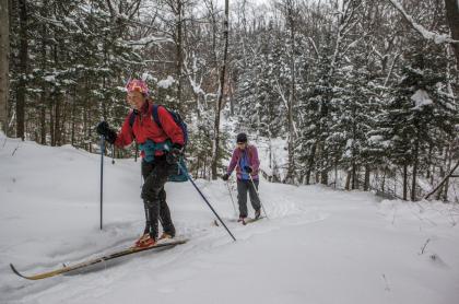 Two people cross country skiing through the woods