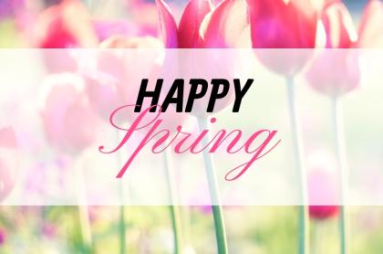 The words Happy Spring in front of a photo of pink tulips