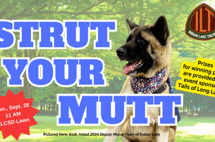 Strut your mutt