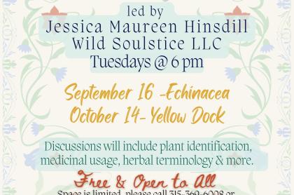 Flyer for a free Wild Infusions Herbal Study Group