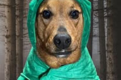 HTTP error: 404 - {
  error: {
    code: 404