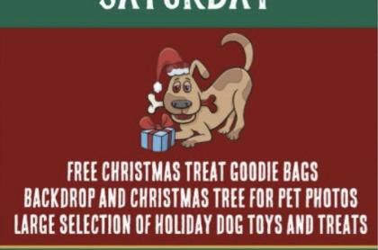 small business flyer