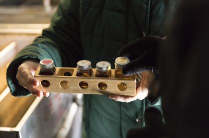 Jars of maple syrup of varying grades.