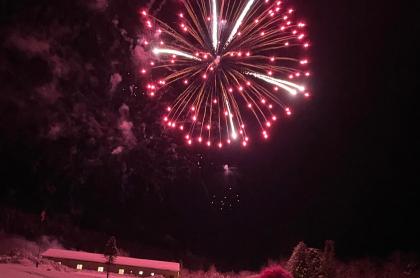 a bright pink firework bursting in the sky