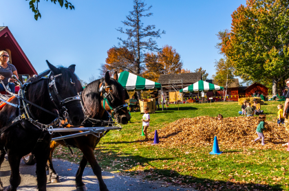 outdoor fall setting