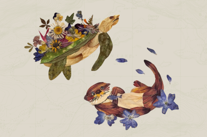 pressed flowers