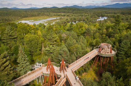 Aerial view of the portion of The Wild Walk