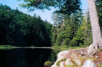 A gem of a backcountry pond for fishing and camping in the lean-to.