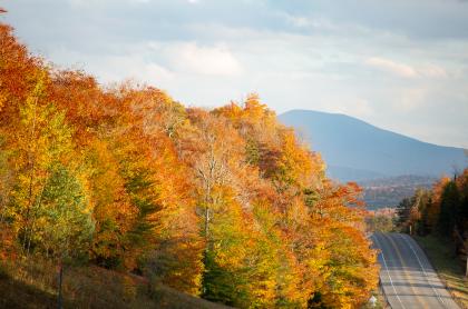 This wilderness area is a great place to view fall foliage.