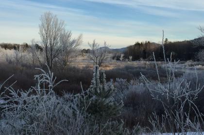 Beatiful winter scenery on the way to Round Pond.