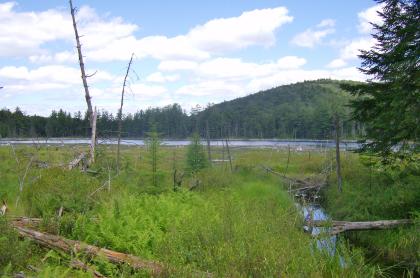 This middle of the Sargent Ponds is known for brook trout.