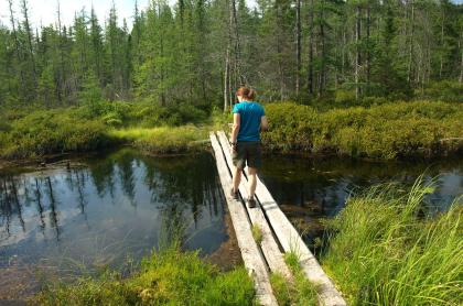 A person crosses a 3-plank wooden bridge.