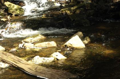 Beautiful surroundings enhance the waterfall near the lake outlet.
