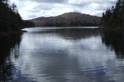 A pond on an overcast day.