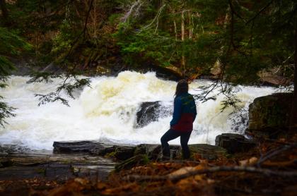 A woman watches Austin Falls from the shoreline
