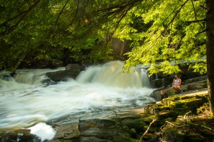Austin Falls in Summer