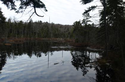 There's a leanto that is great for relaxing after the short
