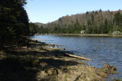 The shoreline of a narrow pond