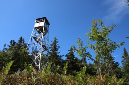 The fire tower adds more scenic possibilities.
