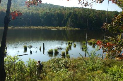 A small pond and a person standing next to it