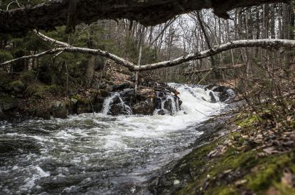 A portion of Limekiln Falls during late fall
