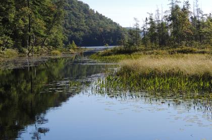 Large mouth and small mouth bass are plentiful in Oxbow Lake.